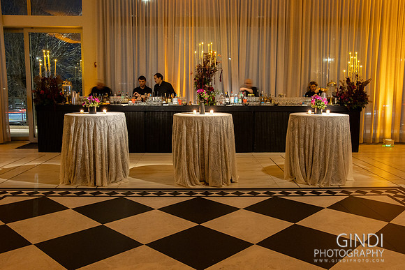 012 VGindiphoto