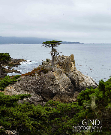 019 VGindiphoto