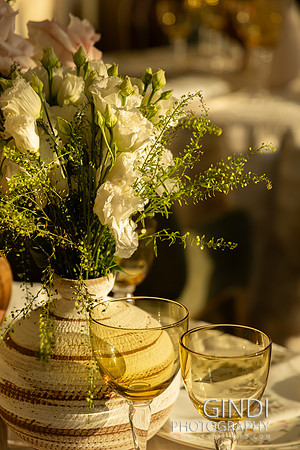 014 VGindiphoto