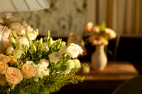 015 VGindiphoto