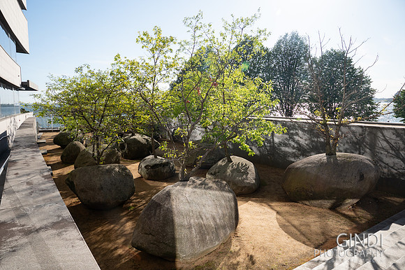 018 VGindiphoto