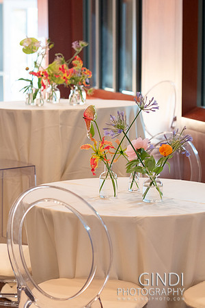 016 VGindiphoto