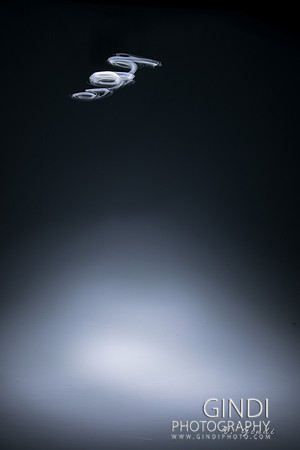 VG__0079
