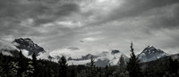 IMG_9446