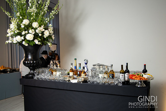 036 VGindiphoto
