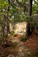 DSCF0054-2