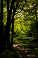 DSCF0073-2