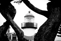 006 VGindiphoto