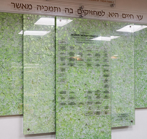 101_MG6_0686