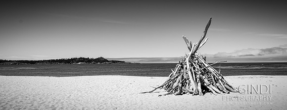 034 VGindiphoto