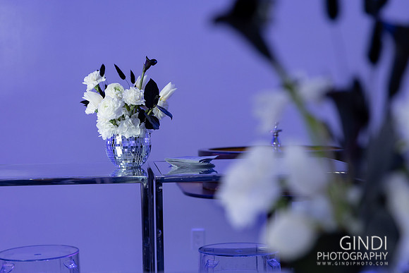 025 VGindiphoto