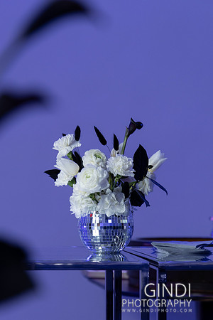 026 VGindiphoto