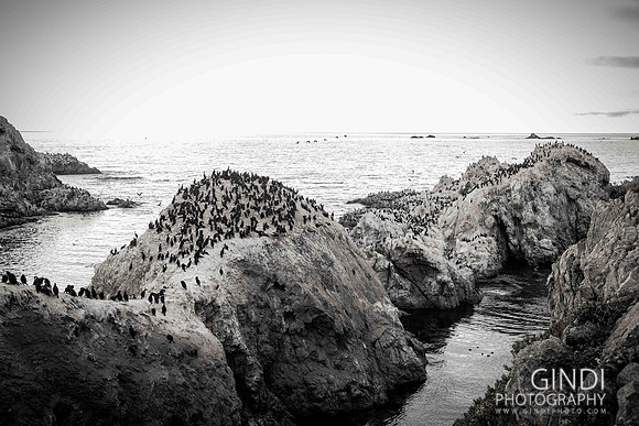 122 VGindiphoto