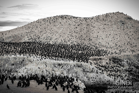 123 VGindiphoto