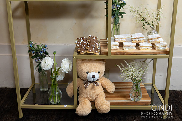043 VGindiphoto