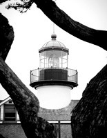 005 VGindiphoto