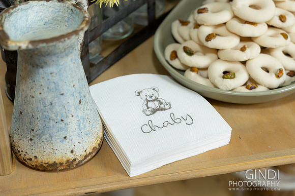 074 VGindiphoto